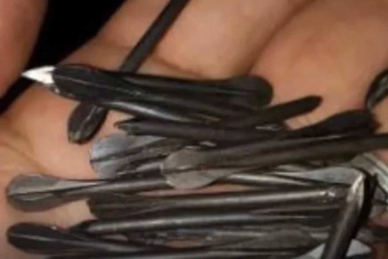 Strjelice "flechette"