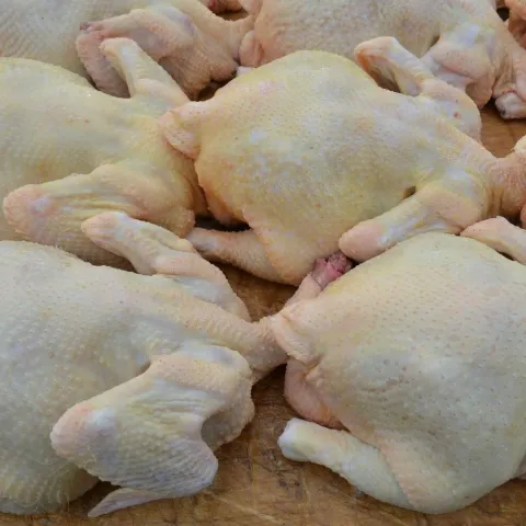 Ilustrativna fotografija