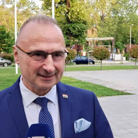 Gordan Grlić Radman