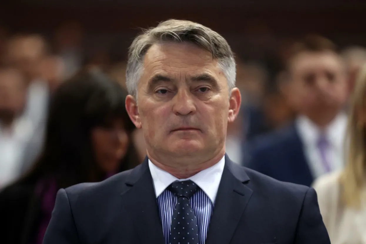 Željko Kom&scaron;ić