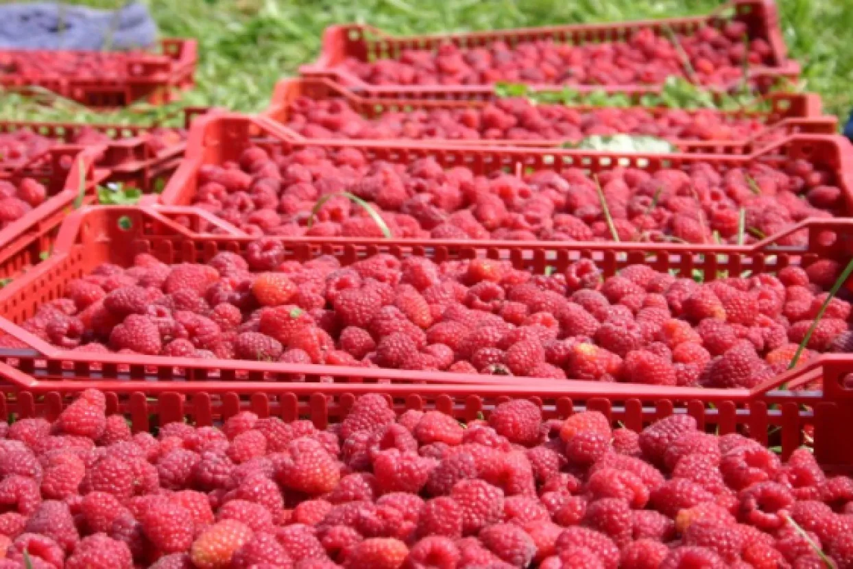 Ilustrativna fotografija