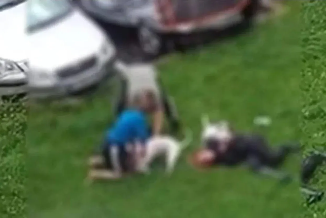 Bull terijeri napali ženu i njenog psa