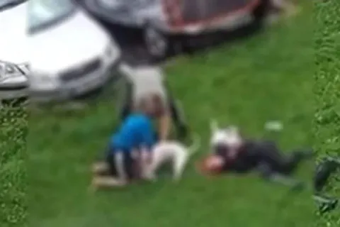Bull terijeri napali ženu i njenog psa