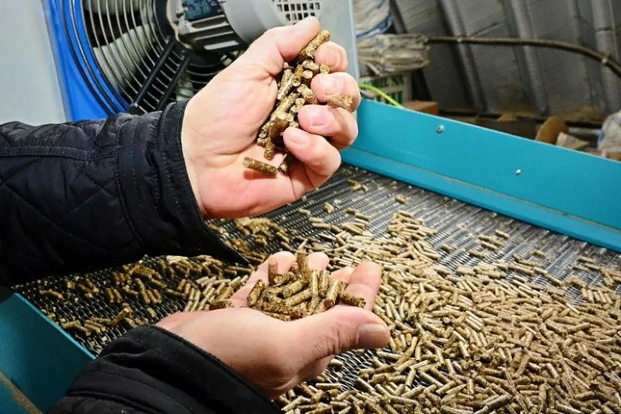 Ilustrativna fotografija