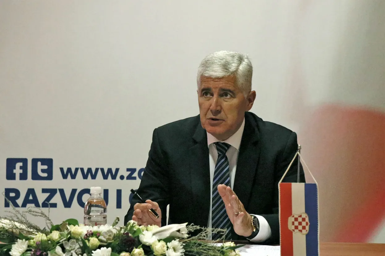 Dragan Čović