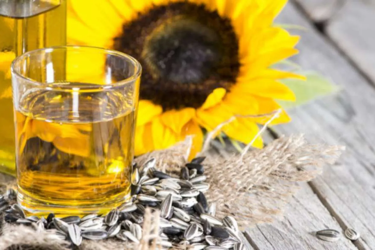 Ilustrativna fotografija