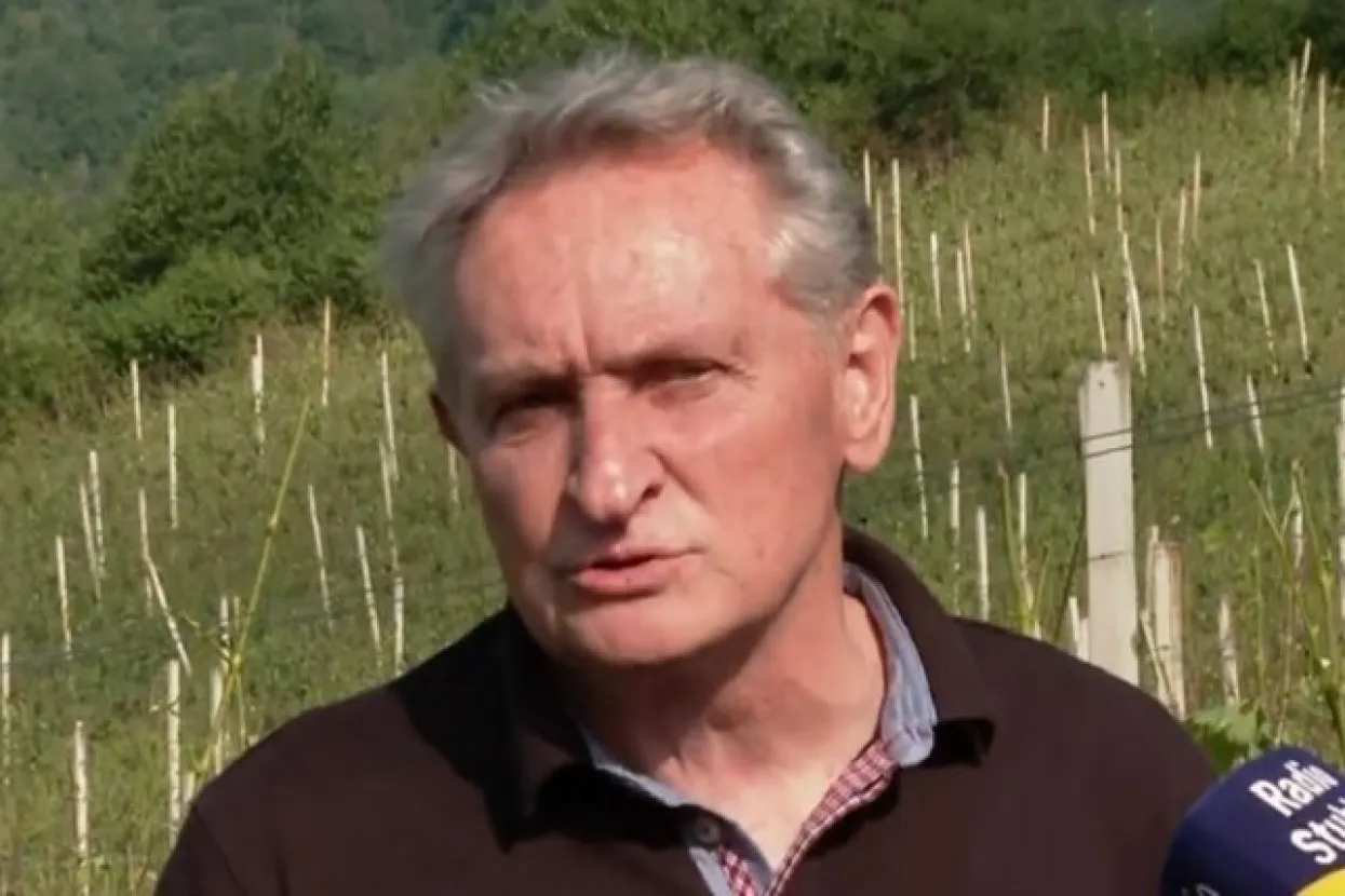 Vinogradar iz Hrvatskog zagorja: Šteta je i preko 100 posto, kako bi rekli u Koreji