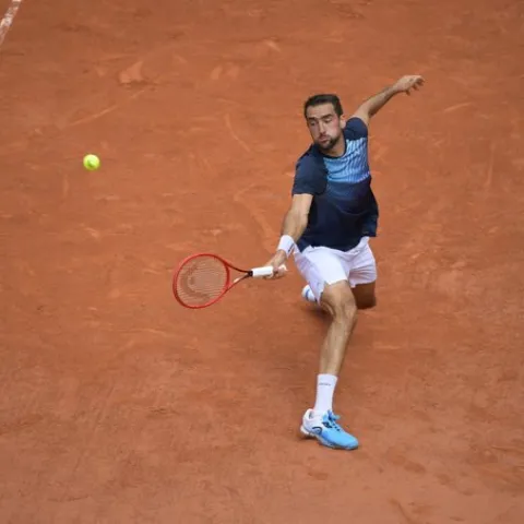 Marin Čilić