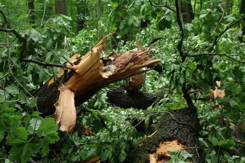 Ilustrativna fotografija