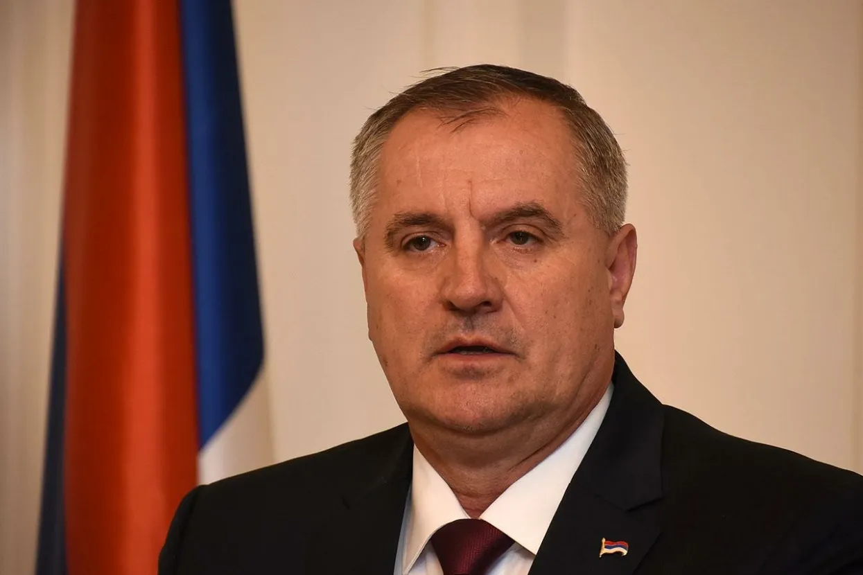 Radovan Vi&scaron;ković