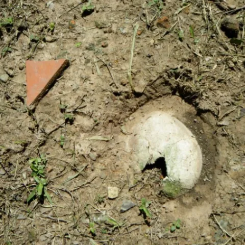 Ilustrativna fotografija