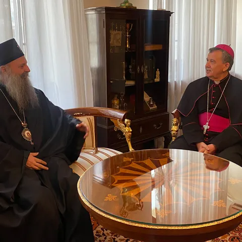 Susret nabidkupa Vuk&scaron;ića i patrijarha Porfirija