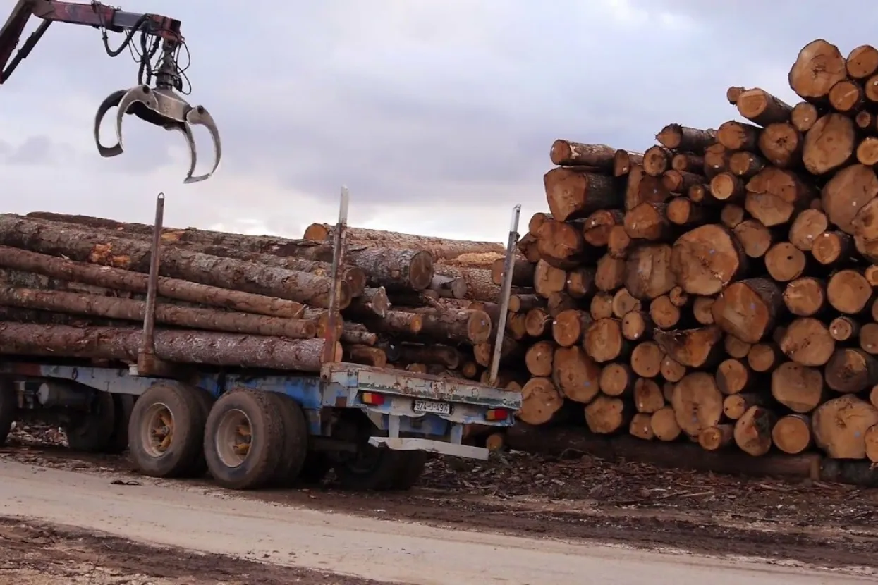 Ilustrativna fotografija