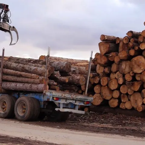 Ilustrativna fotografija