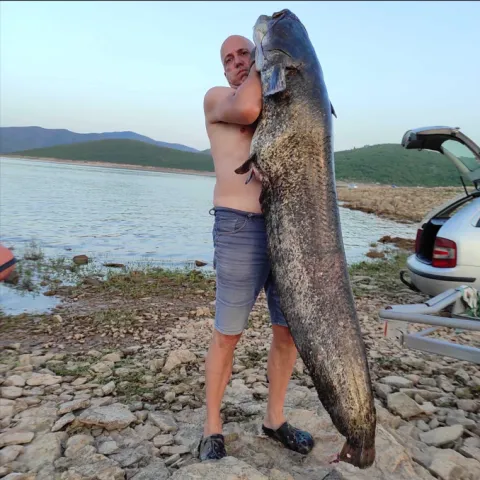 Kapitalni ulov u Bileći