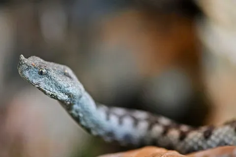 Ilustrativna fotografija