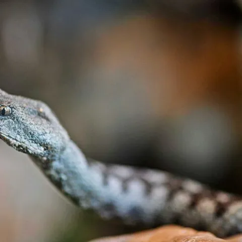 Ilustrativna fotografija