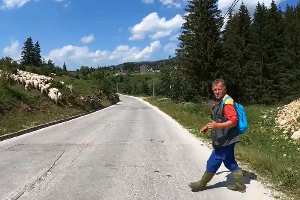 Pastir Budo s Vla&scaron;ića