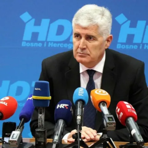 Dragan Čović, HDZ BiH