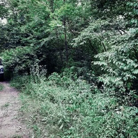 Ilustrativna fotografija