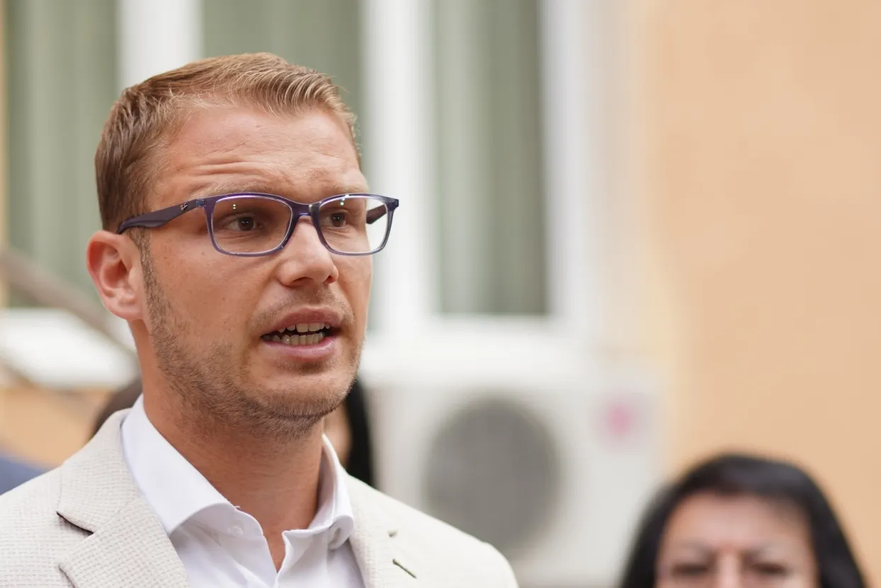 Gradonačelnik Banja Luke Dra&scaron;ko Stanivuković