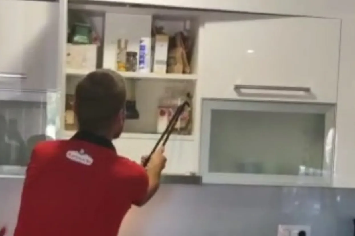 Grude: Zmija zalutala u kuhinju