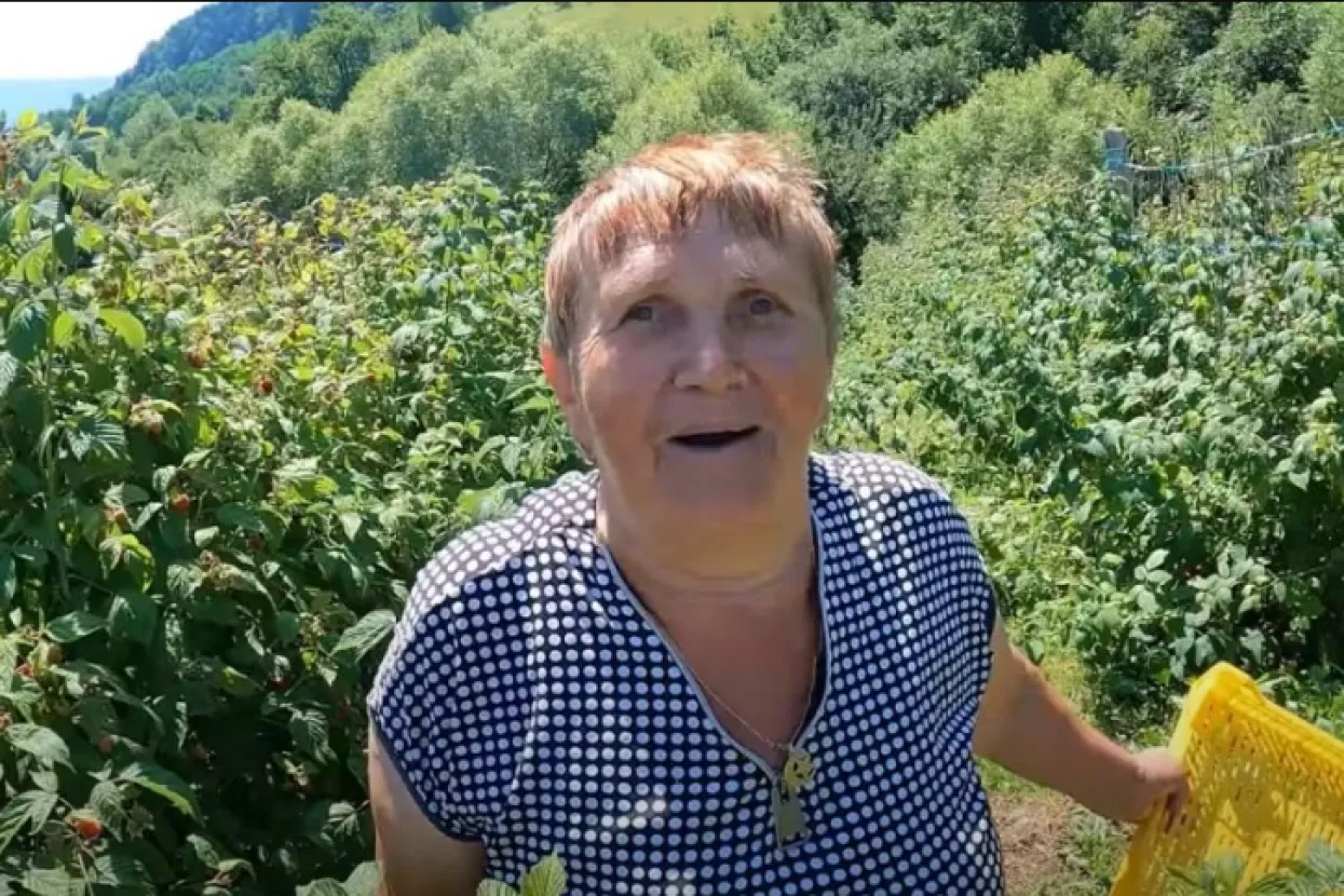 Arzija pristojno zarađuje od malina