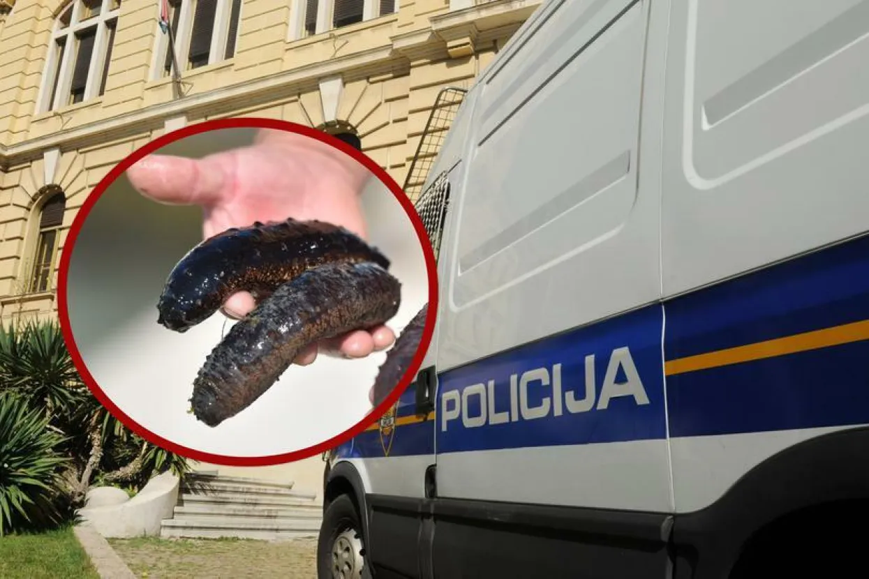 Ilustrativna fotografija