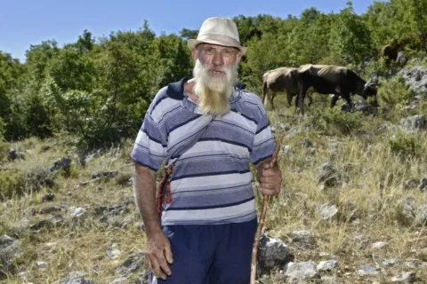 Luka Bikić