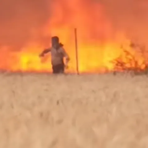 &Scaron;panjolac bježi od vatrene stihije