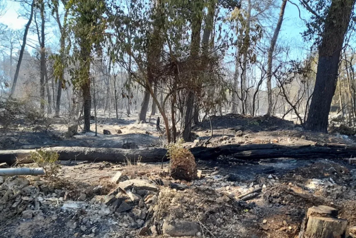 Ilustrativna fotografija