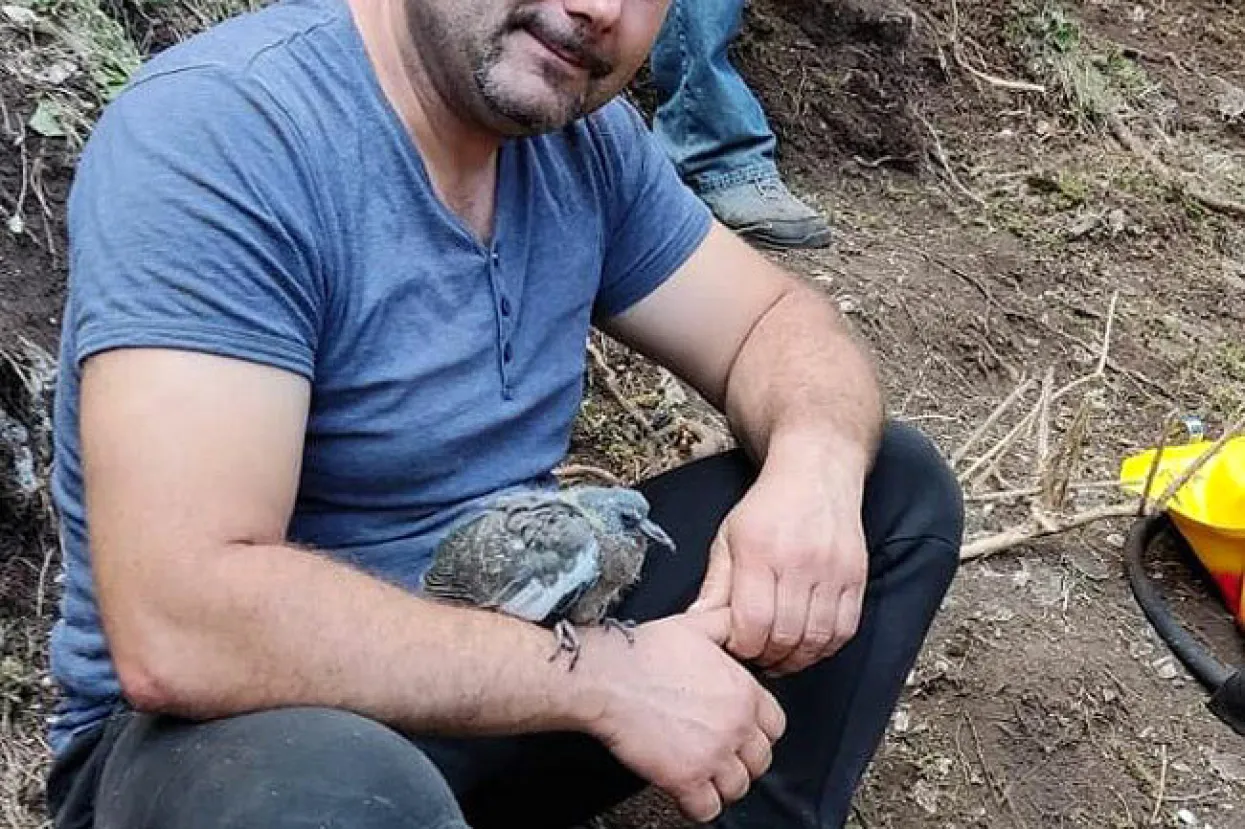 Vatrogasci spasili ptičicu na Blidinju