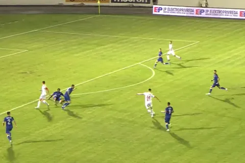 Golčina Nike Jankovića