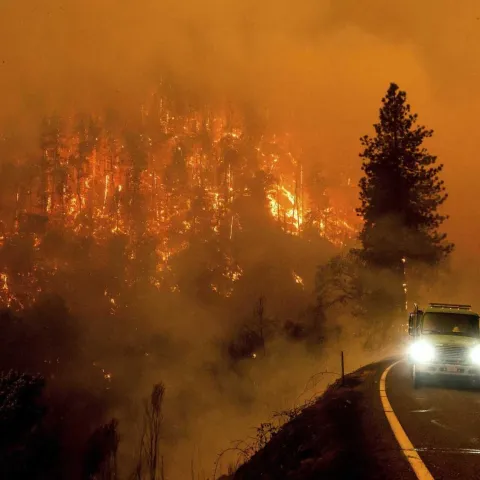 Ilustrativna fotografija