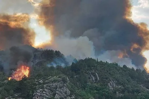 Požar kod Trebinja