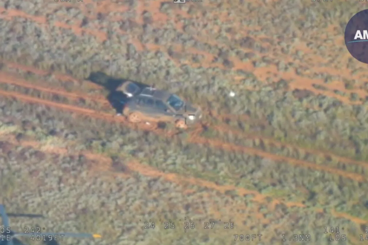 Izgubljeni u divljini