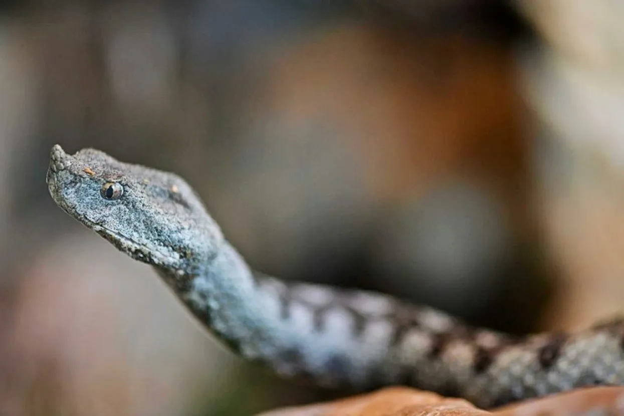 Ilustrativna fotografija