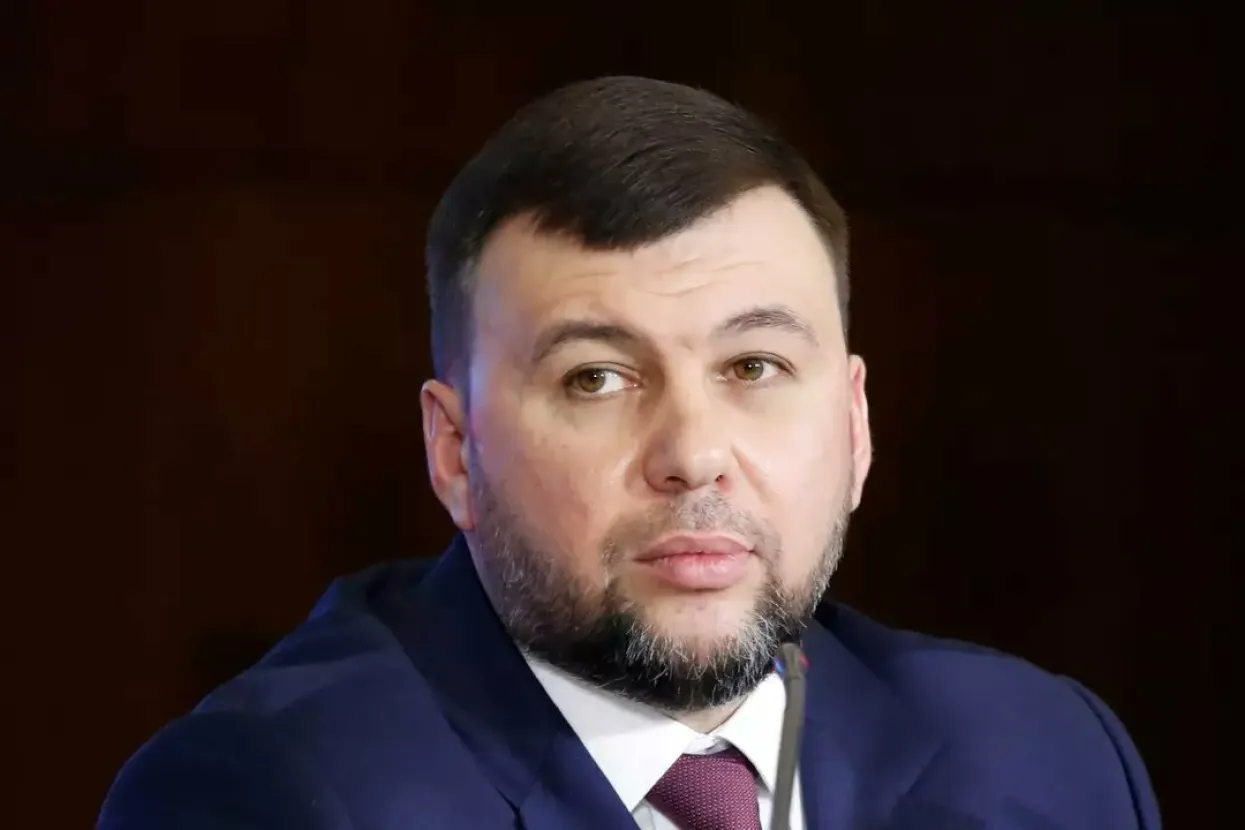 Denis Pu&scaron;ilin