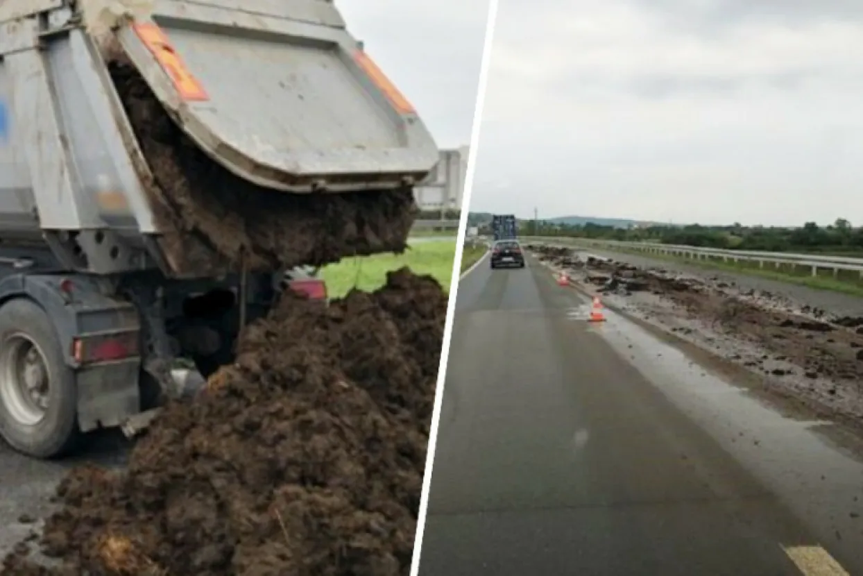 Rasipao stajsko gnojivo po cesti