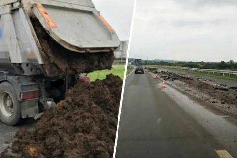 Rasipao stajsko gnojivo po cesti