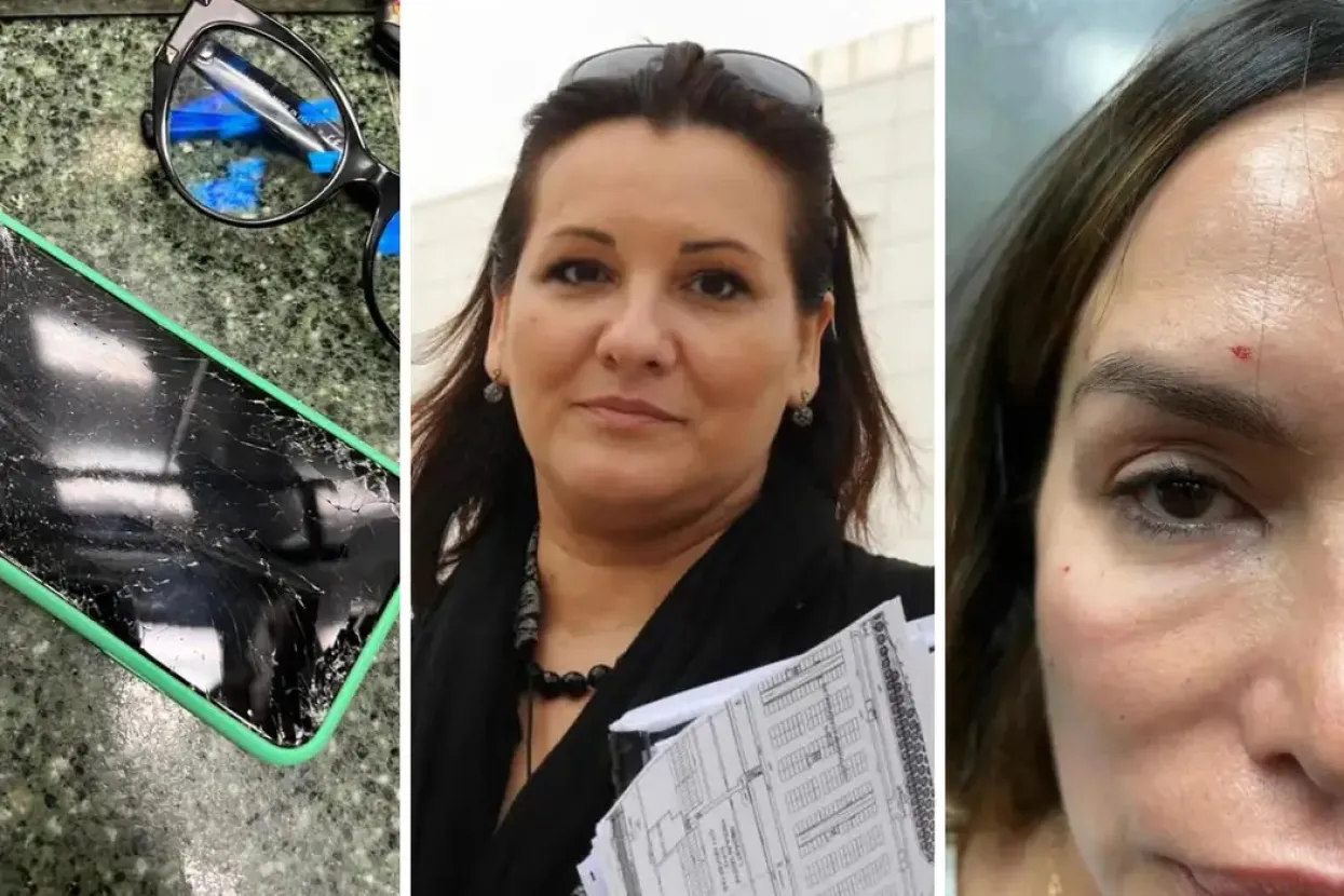 'Severinina sestra se derala da će iskrvariti na cesti, uspio sam razaznati oko čega se svađaju'