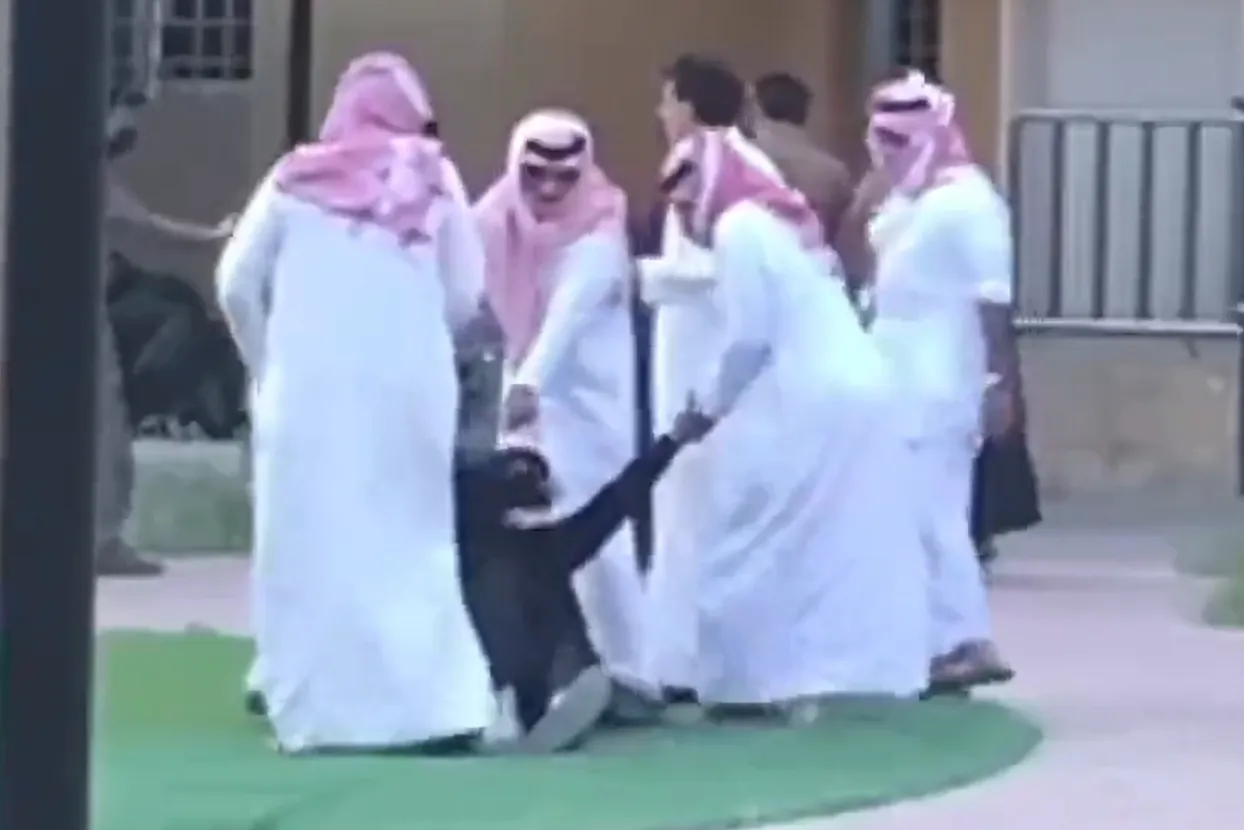 Nasilje nad štrajkačicom u Saudijskoj Arabiji