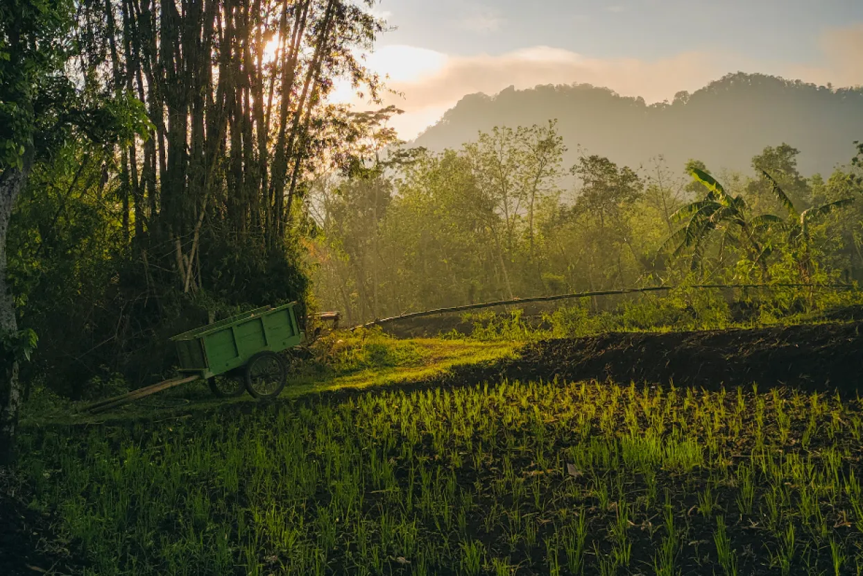 Ilustrativna fotografija