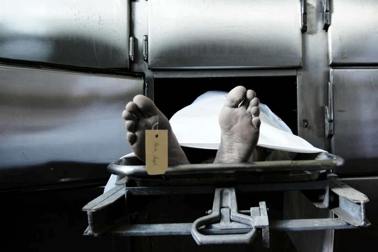 Ilustrativna fotografija