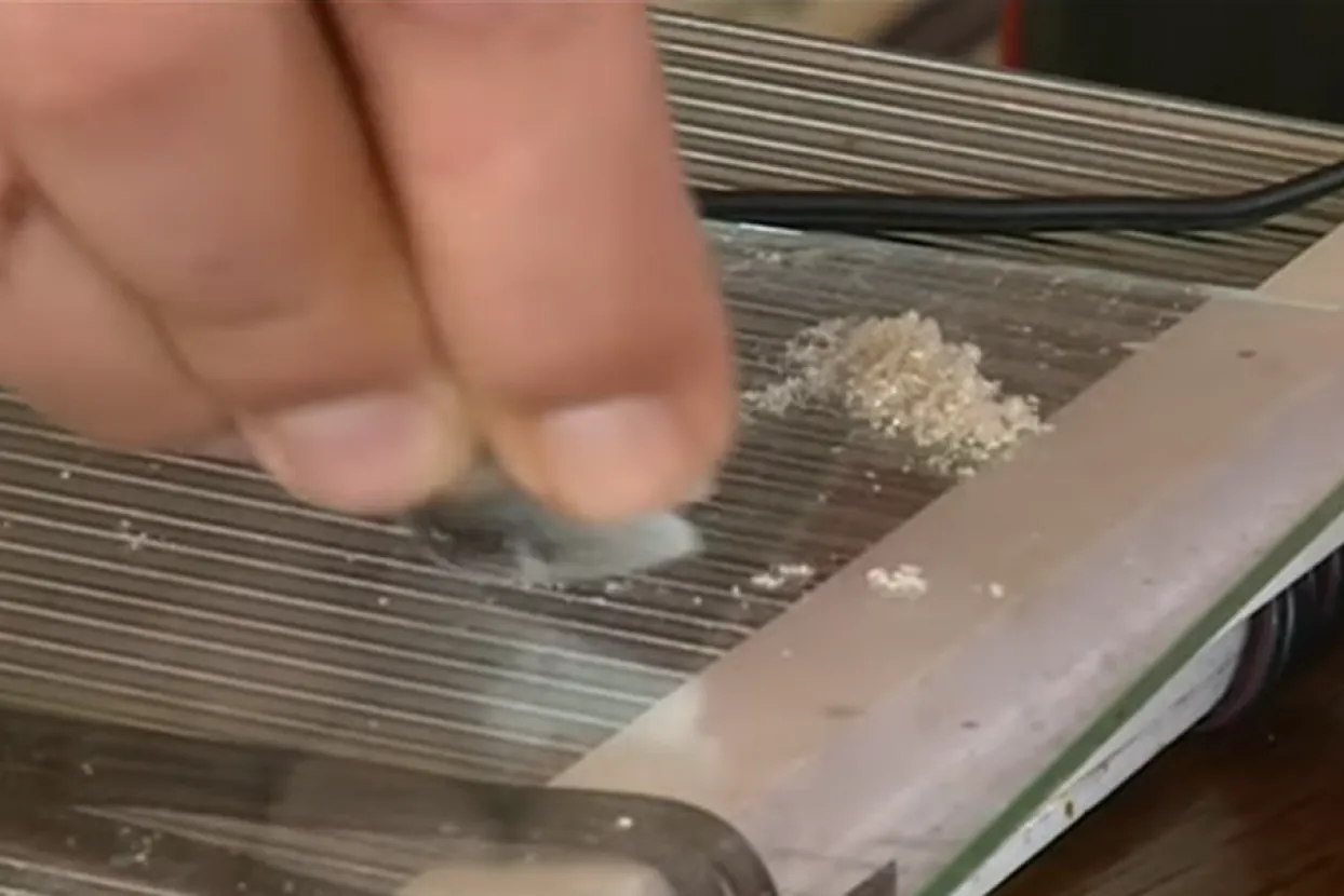 U Kozaruši se proizvodi pčelinji otrov