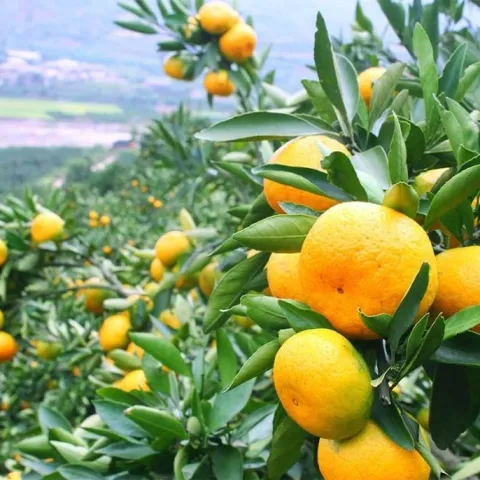 Ilustrativna fotografija