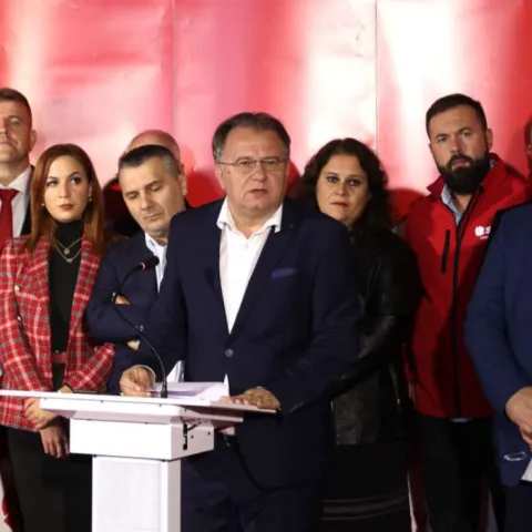 Nermin Nik&scaron;ić