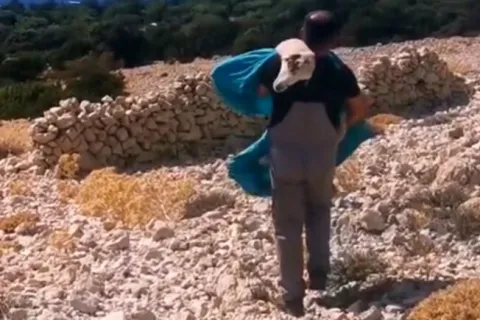 Dirljiva snimka s Paga