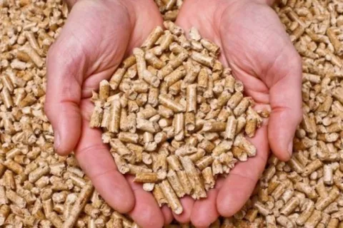 Ilustrativna fotografija