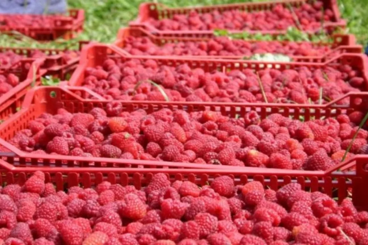 Ilustrativna fotografija